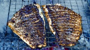 Blackened Shark Steaks on the beach (courtesy photo)