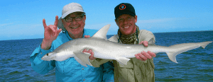 Cleaning a Shark is easy as long as you do it quickly after the catch.