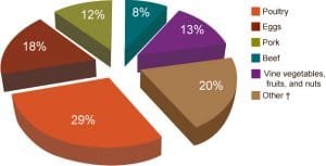 Salmonella is found in many different types of foods: meats, eggs, fruits, vegetables, and even processed foods such as peanut butter. (Graphic courtesy CDC)