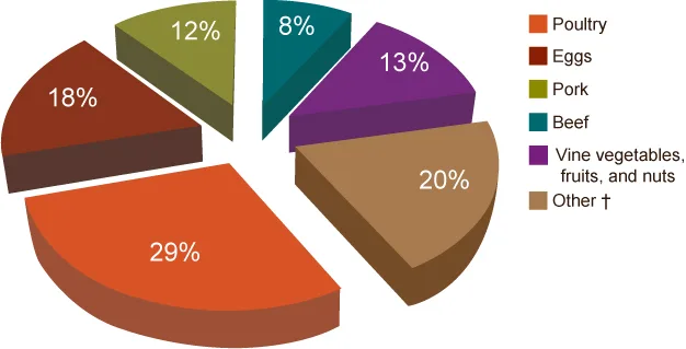 Salmonella is found in many different types of foods: meats, eggs, fruits, vegetables, and even processed foods such as peanut butter. (Graphic courtesy CDC)