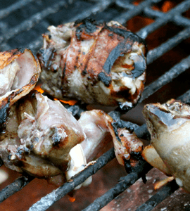 Grilled Dove Breasts