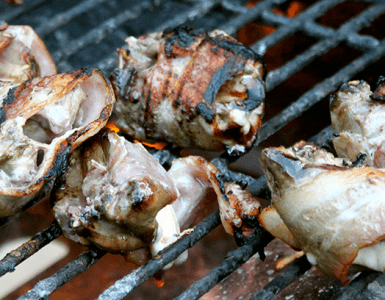 Grilled Dove Breasts